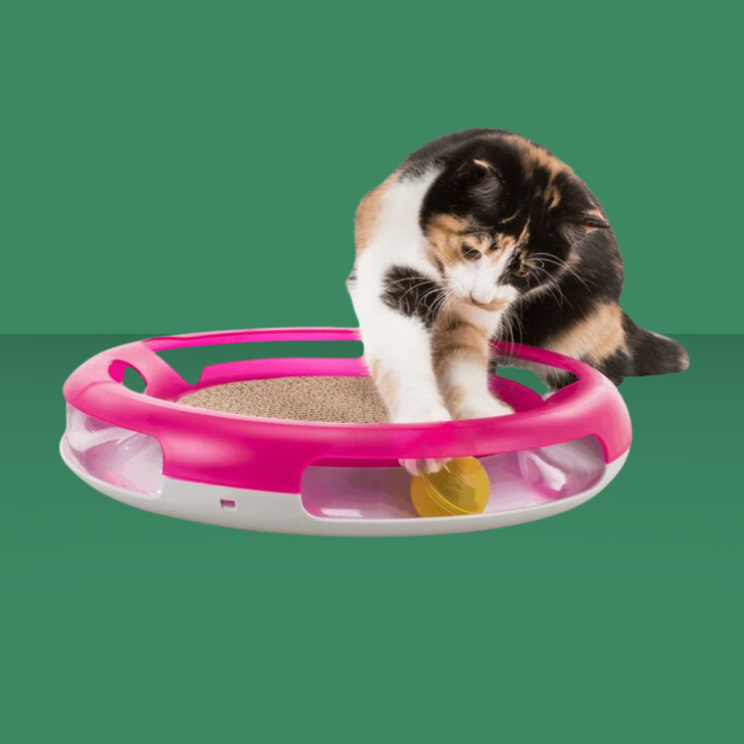 Activity Race & Scratch