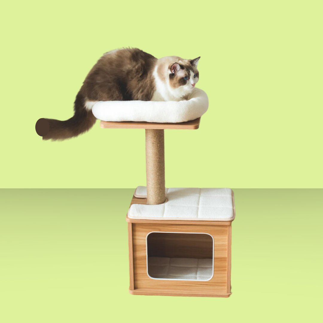 Cedar Cat Climbing Frame