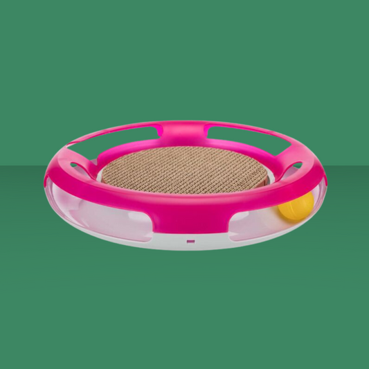 Activity Race & Scratch