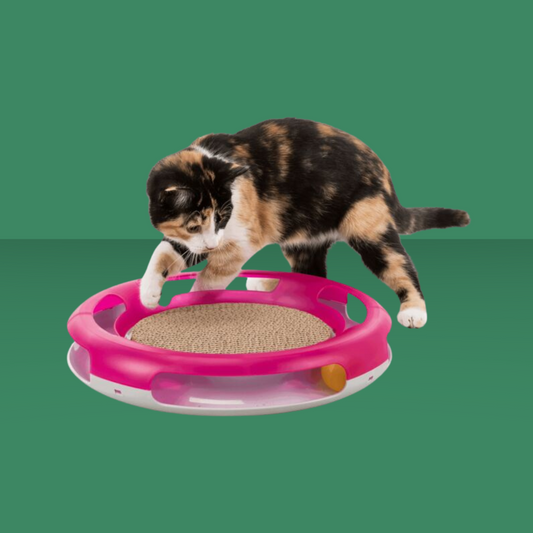 Activity Race & Scratch
