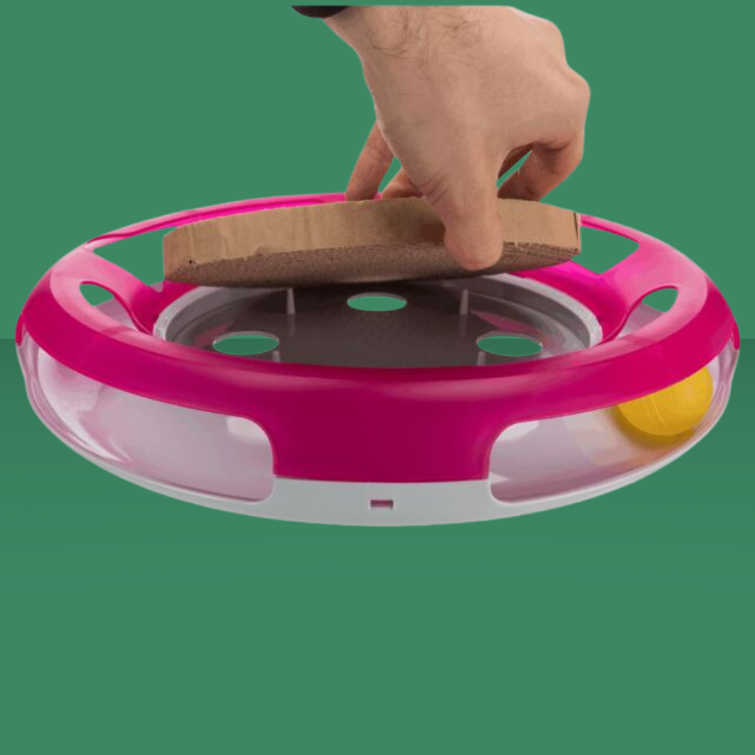 Activity Race & Scratch