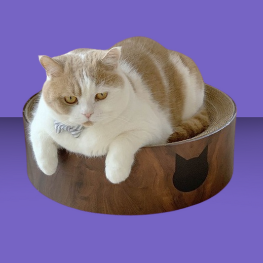 Dark cherry cat scratching bowl