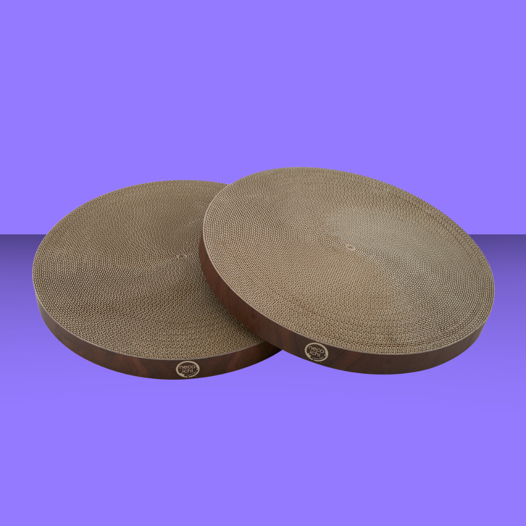 Cat Scratcher Bowl Replacement Pads  2 Pack