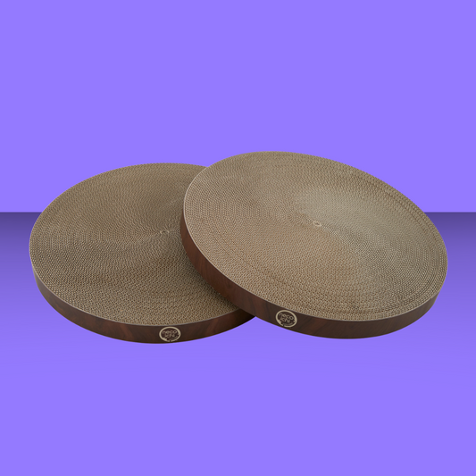 Cat Scratcher Bowl Replacement Pads  2 Pack