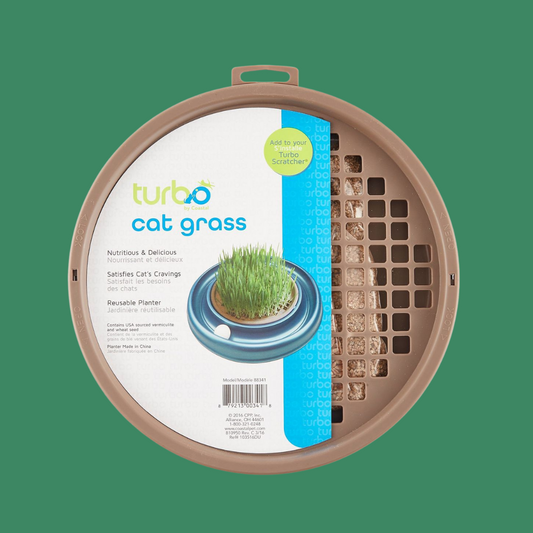 Cat Grass Scratcher