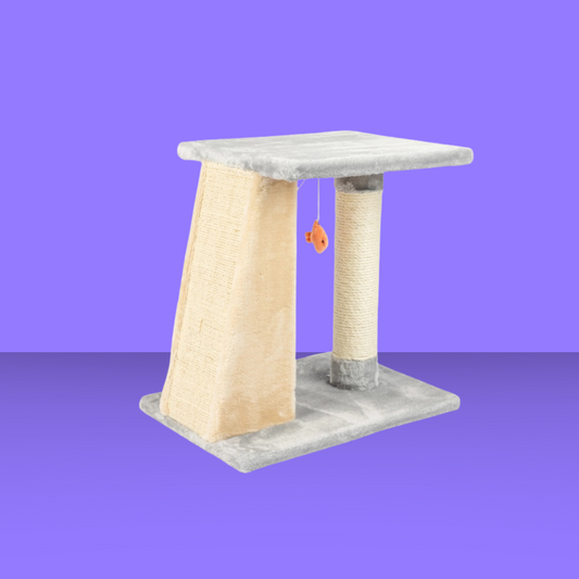 2 Level Platform Scratcher