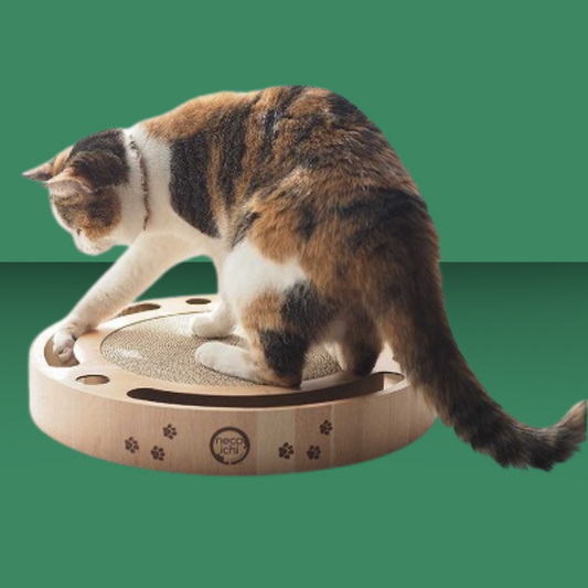 Interactive Track Ball Scratcher
