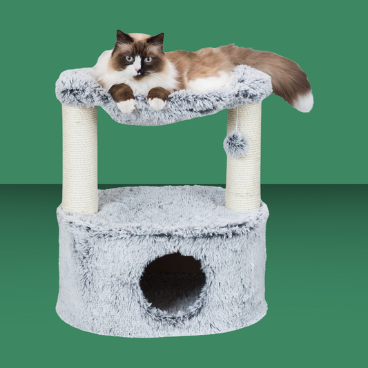 Gray plush cat paw frame house