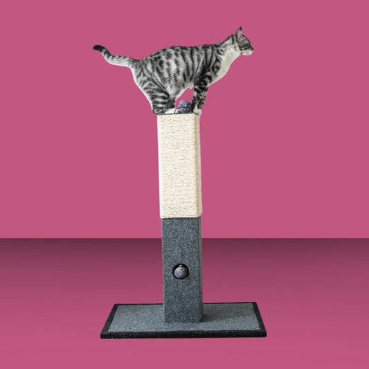 Natural Minimalist Cat Scratching Post