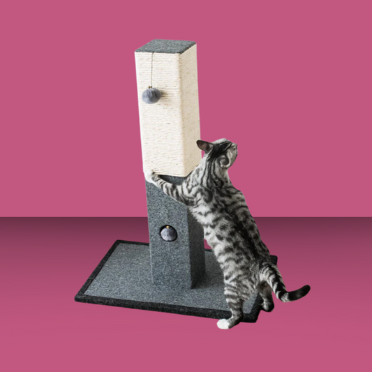 Natural Minimalist Cat Scratching Post